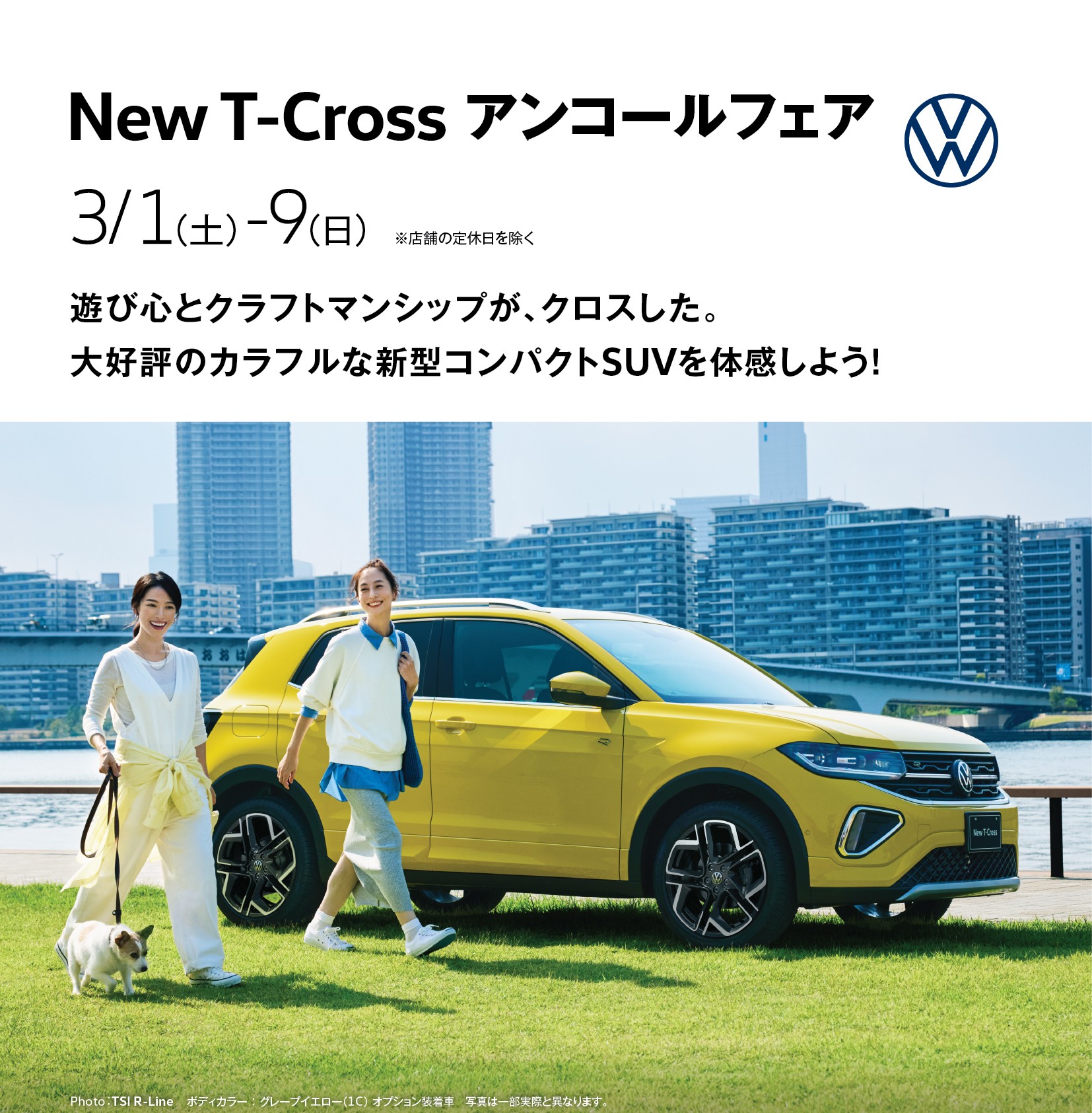 DM - チラシ 表面(使用例1)